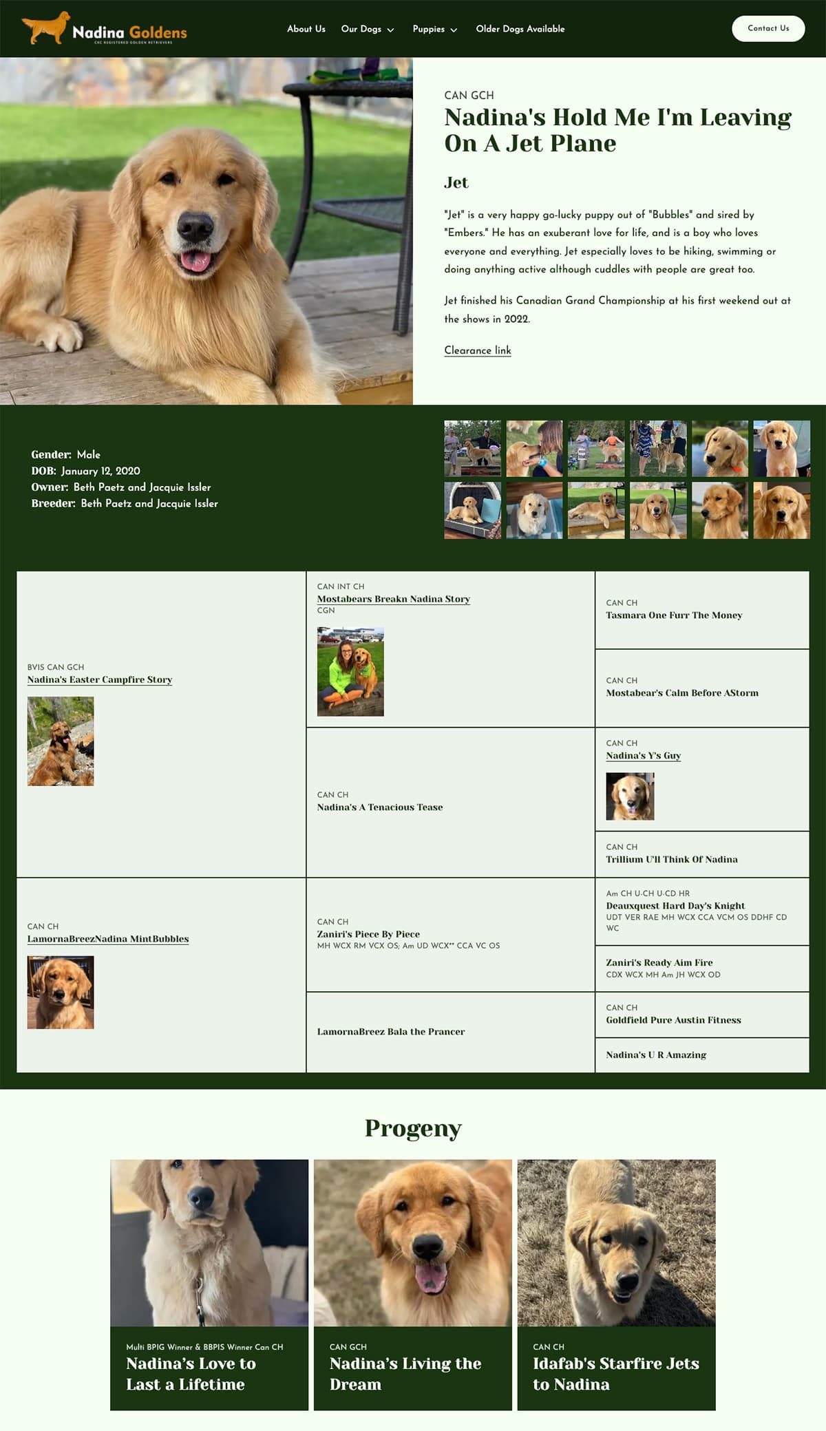 Nadina Goldens Dog Profile Page Screenshot
