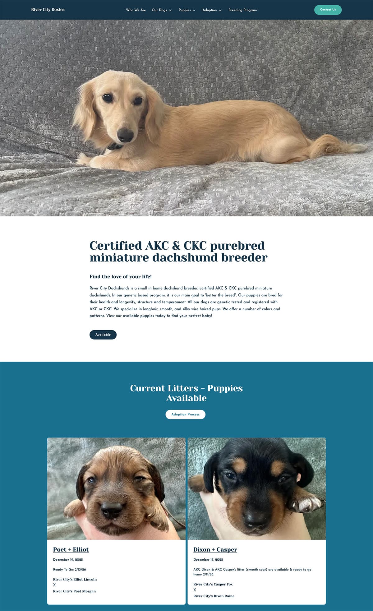 River City Doxies Homepage Screenshot a Breedpost Client