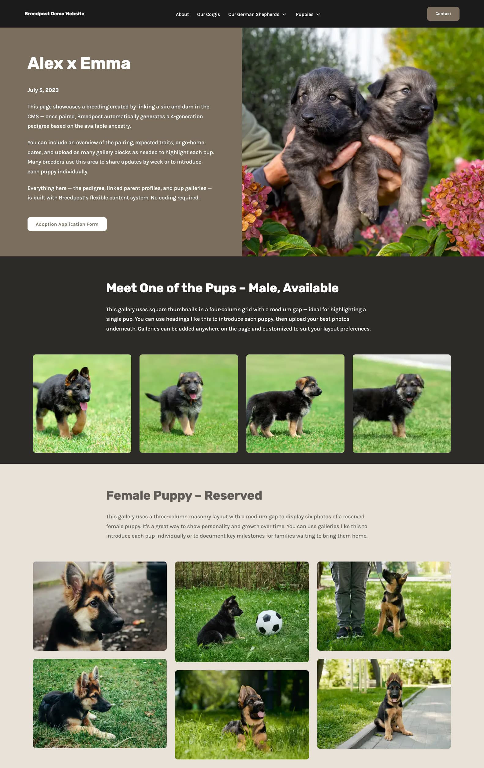Litter Page Example in Breedpost Website Builder for Breeders