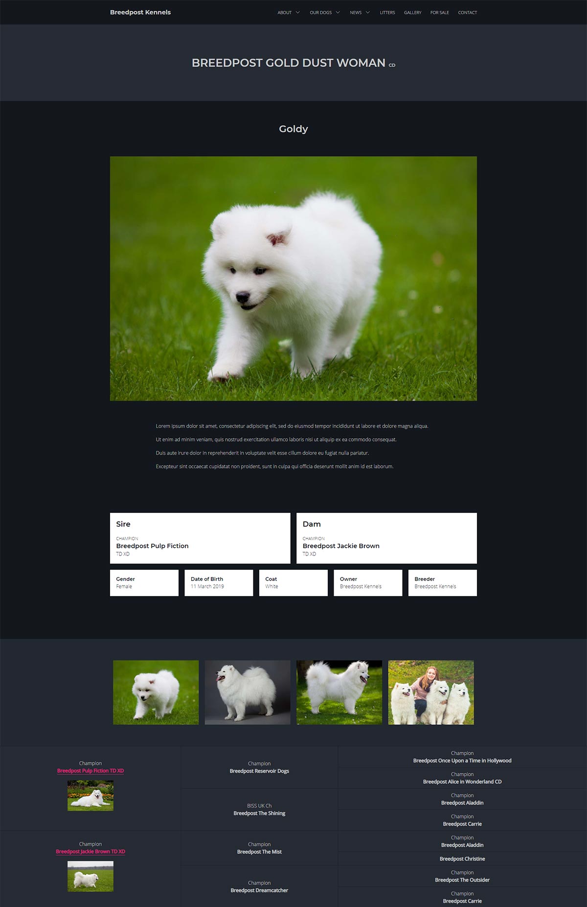 Lassie a new dog breeder website template Breedpost Blog