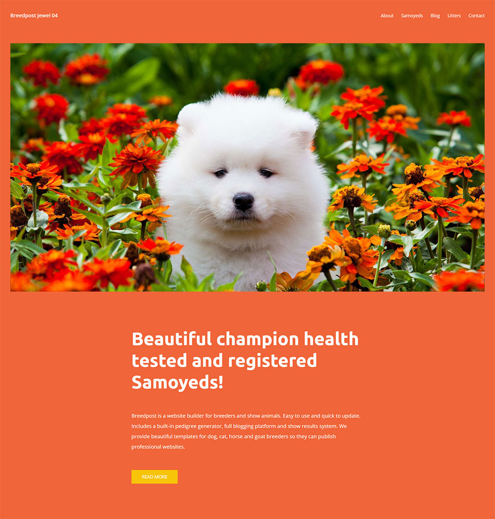 a-complete-overview-of-our-dog-breeder-website-templates-breedpost-blog