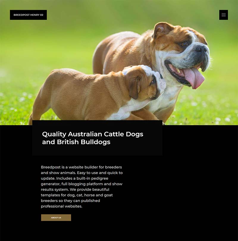 A complete overview of our dog breeder website templates Breedpost Blog