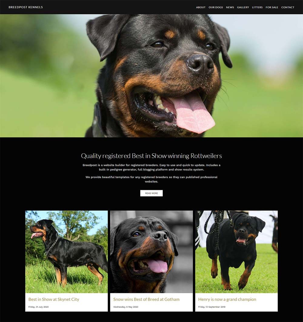 how-our-templates-improve-your-dog-breeder-website-design-breedpost-blog