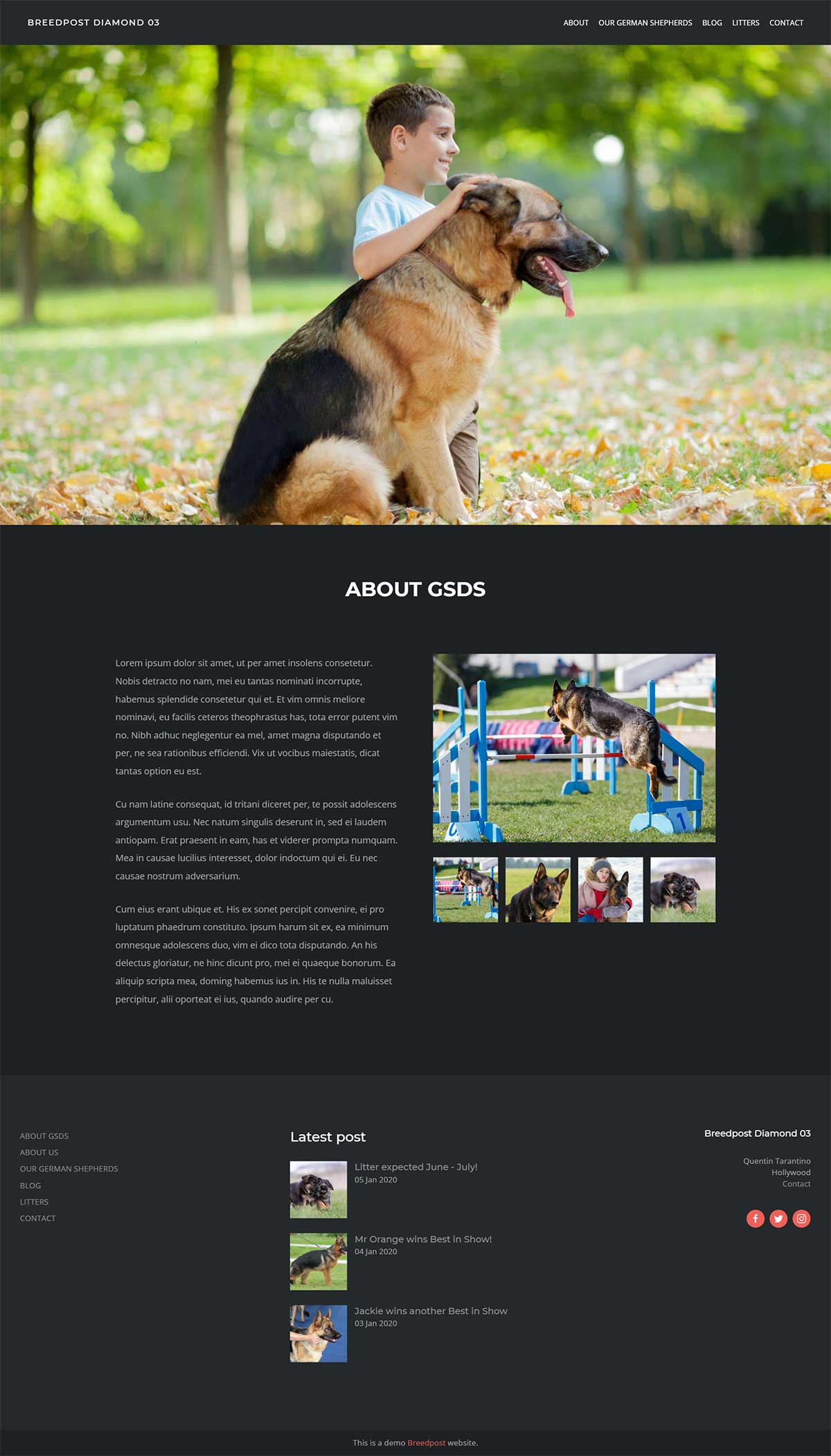 How to create the perfect About page for your dog breeder website