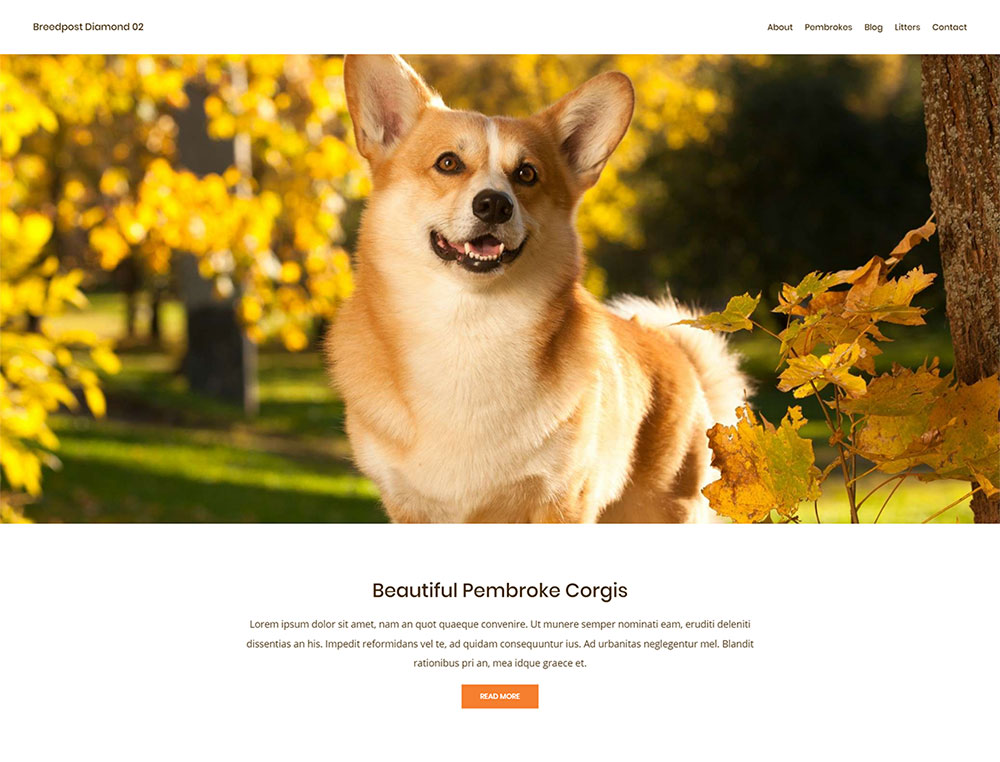Dog breeder website design the professional and easy way Breedpost Blog