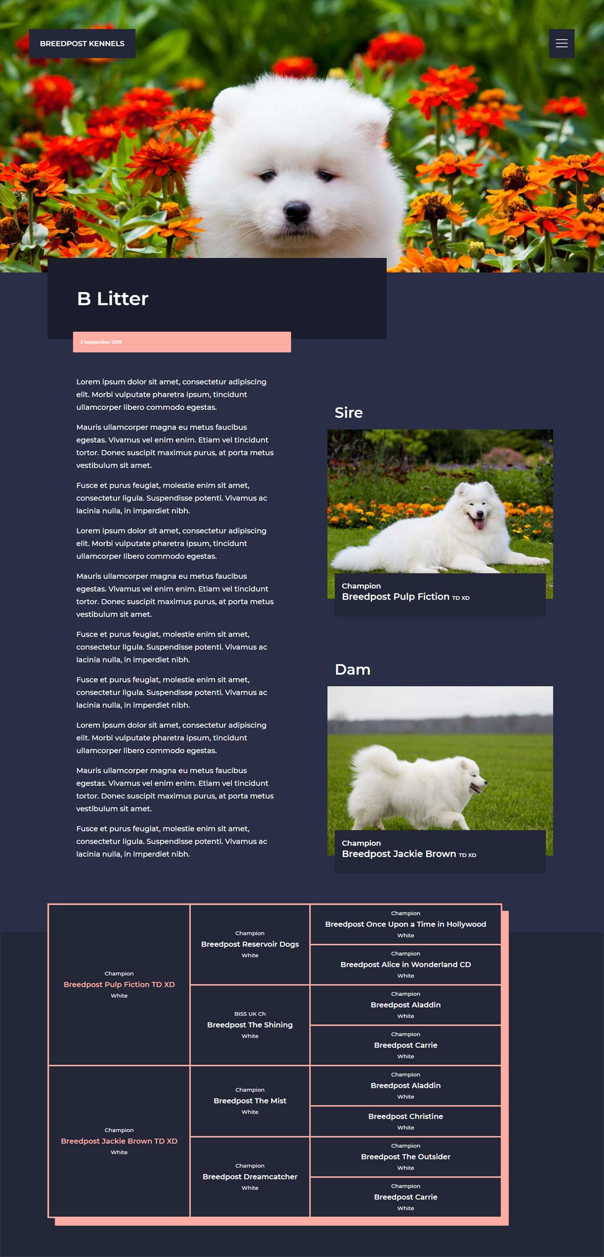 dog-breeder-website-design-the-professional-and-easy-way-breedpost-blog
